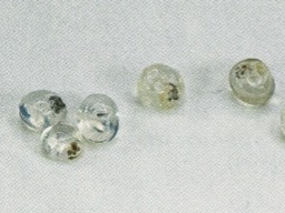 black-specks-nuggets